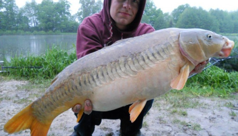 A carp from Jonchery 7, May 2013