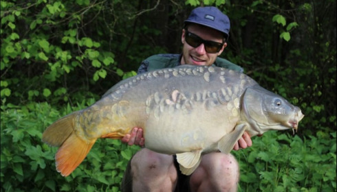 A carp from Jonchery 7, May 2019