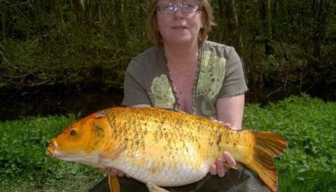 A carp from Jonchery 7, Apr 2013