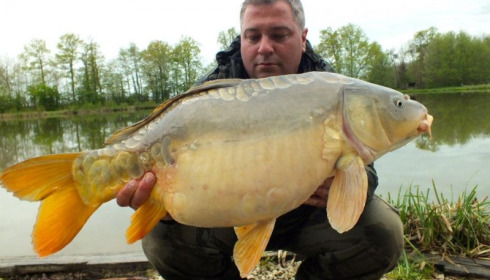 A carp from Jonchery 7, May 2013