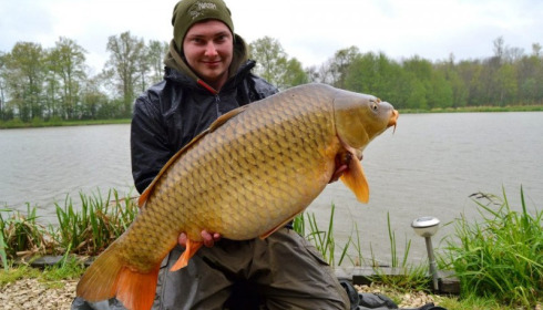 A carp from Jonchery 7, May 2013
