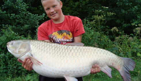 A grass carp from Jonchery 7, Aug 2013