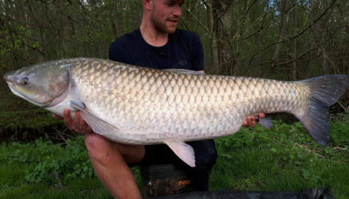 A carp from Jonchery 7, Apr 2018