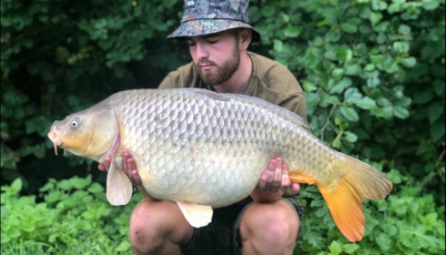A carp from Jonchery 7, Jun 2019