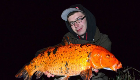 A 28 lb 6 oz carp from Jonchery 7, May 2013