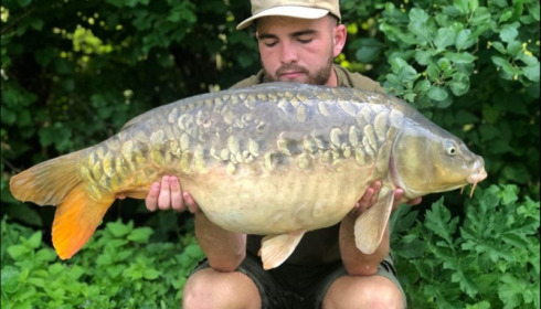 A carp from Jonchery 7, Jun 2019