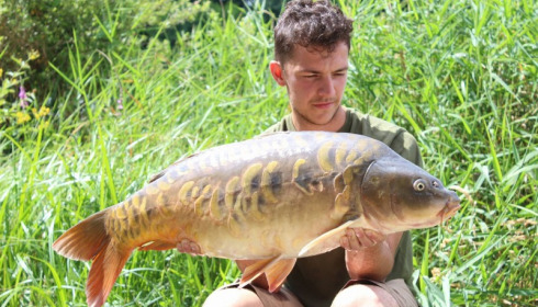 A carp from Jonchery 7, Jul 2016