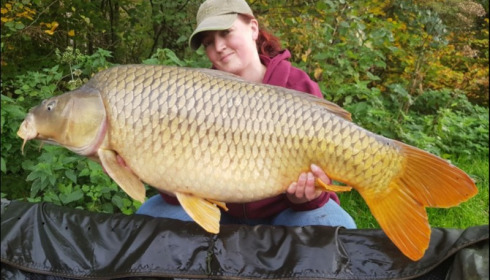 A carp from Jonchery 7, Oct 2019