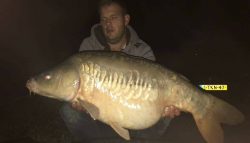 A carp from Jonchery 7, Oct 2017