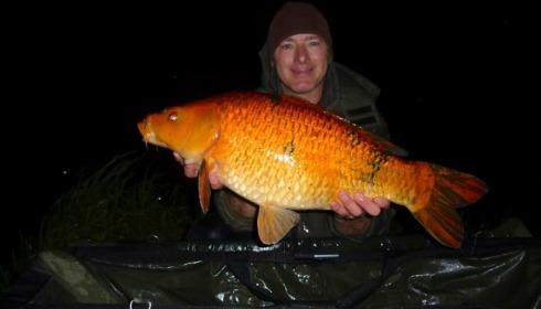 A carp from Jonchery 7, Michael Jackson, Sep 2013