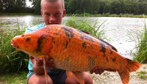 A carp from Jonchery 7, Aug 2014