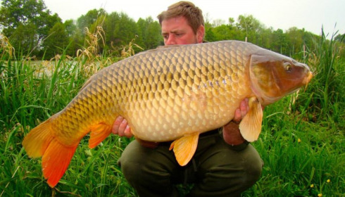 A 50 lb carp from Jonchery 7, Stuart & John Payne, May 2014