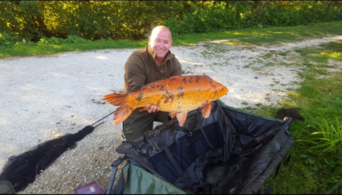 A carp from Jonchery 7, Sep 2019
