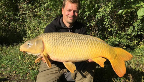 A carp from Jonchery 7, Sep 2015