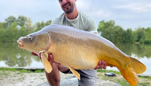 A carp from Jonchery 7, Aug 2022