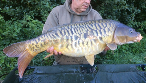 A 31 lb 8 oz carp from Jonchery 7, T Kennet, Sep 2015