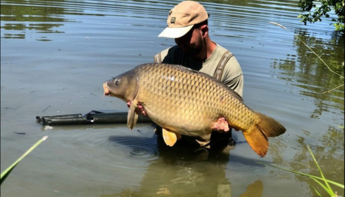 A carp from Jonchery 7, Jun 2019