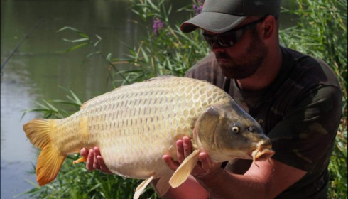 A carp from Jonchery 7, Jul 2018