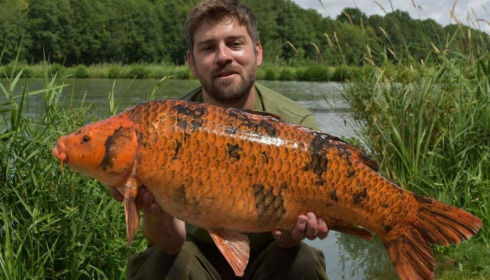 A carp from Jonchery 7, Jul 2017
