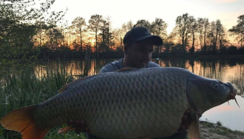A carp from Jonchery 7, Apr 2017
