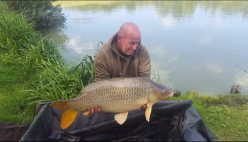 A carp from Jonchery 7, Sep 2019