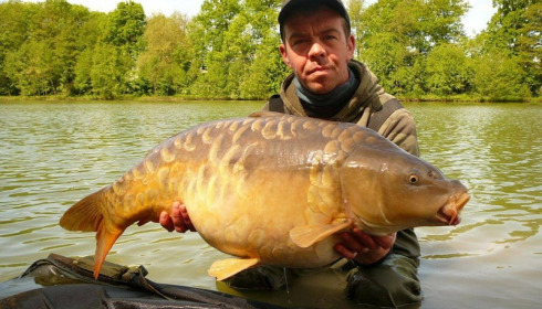 A carp from Jonchery 7, May 2018