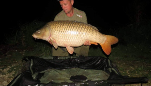 A carp from Jonchery 7, Aug 2018