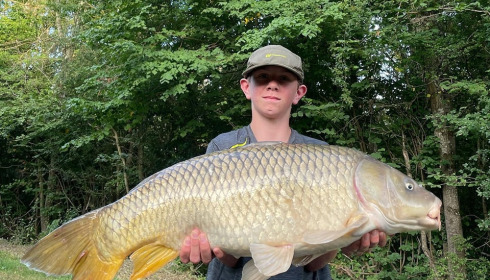 A carp from Jonchery 7, Aug 2022