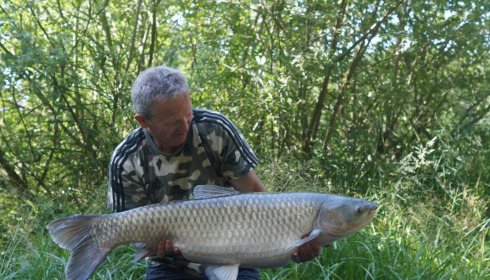 A 40 lb fish from Jonchery 7, Grass Carp, Jun 2023