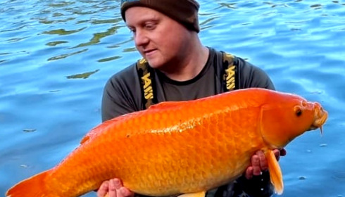 A 20 lb fish from Jonchery 7, Oct 2021