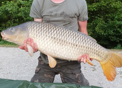 A 32 lb carp from Jonchery 7, Oliver Milton , Jul 2019