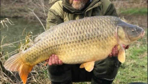 A carp from Jonchery 7, Mar 2019