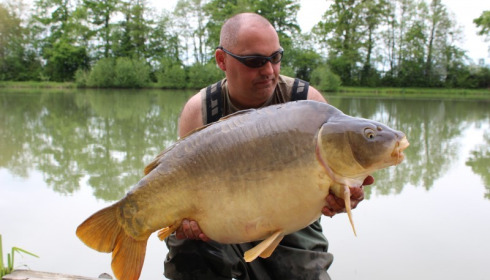 A carp from Jonchery 7, May 2015