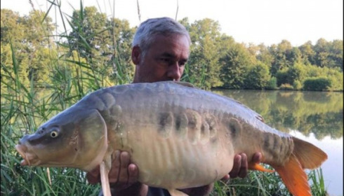 A carp from Jonchery 7, Jun 2018