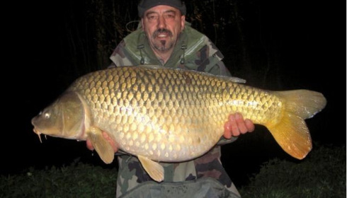 A carp from Jonchery 7, Apr 2013