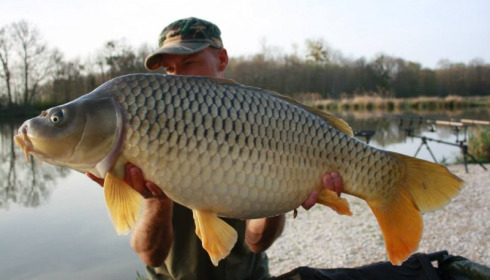 A carp from Jonchery 7, Apr 2014