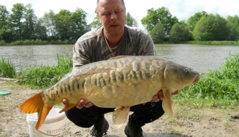 A carp from Jonchery 7, May 2013