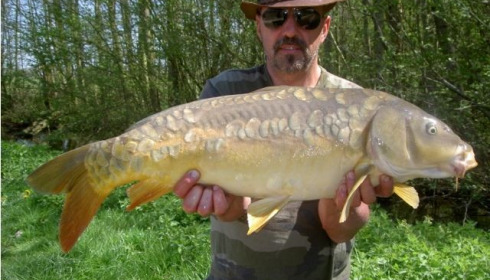 A carp from Jonchery 7, Apr 2013