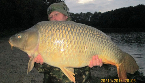 A 32 lb 4 oz carp from Jonchery 7, Robin Ball, Oct 2016