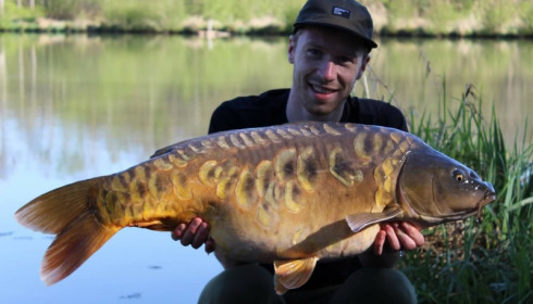 A carp from Jonchery 7, Apr 2018