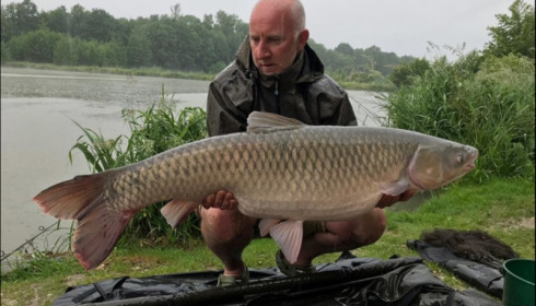 A carp from Jonchery 7, Jun 2019