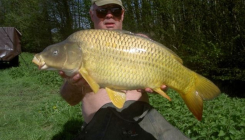A carp from Jonchery 7, Apr 2013