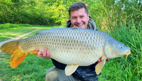 A fish from Jonchery 7, May 2022