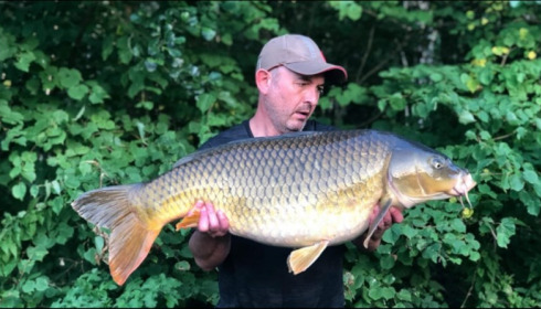 A carp from Jonchery 7, Jun 2019