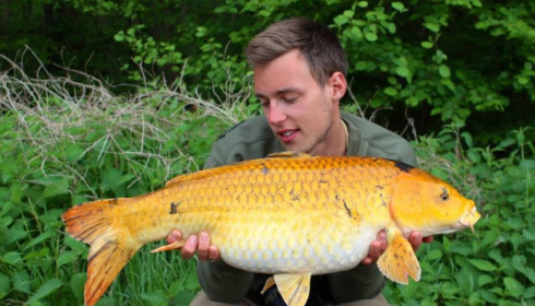 A carp from Jonchery 7, Apr 2014