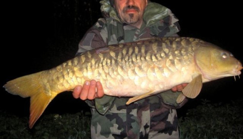 A carp from Jonchery 7, Apr 2013