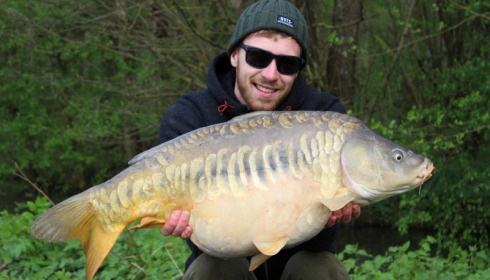 A carp from Jonchery 7, Apr 2017