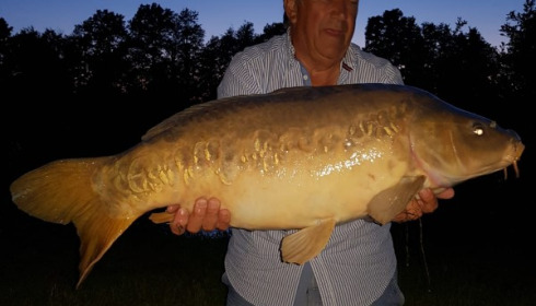 A 31 lb 6 oz carp from Jonchery 7, Graham Humphrey, May 2018