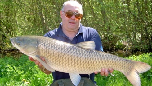A grass carp from Jonchery 7, Apr 2013
