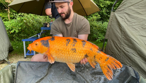 A fish from Jonchery 7, Beautiful koi 17lb, Sep 2021
